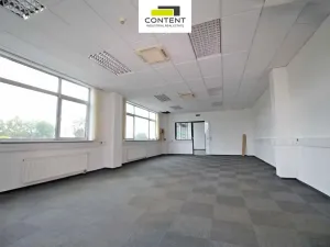 Pronájem výrobních prostor, Nový Jičín, Hřbitovní, 4000 m2