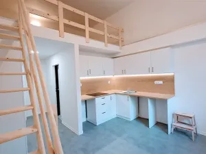 Pronájem bytu 1+kk, Děčín - Děčín I-Děčín, Křížová, 25 m2