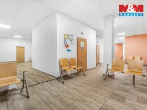 Pronájem obchodního prostoru, Ústí nad Labem - Severní Terasa, Šrámkova, 32 m2