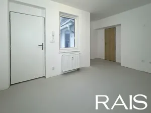 Prodej bytu 1+kk, Brno, Francouzská, 34 m2