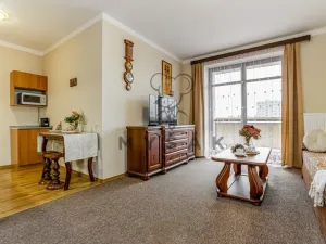 Prodej bytu 2+kk, České Budějovice - České Budějovice 3, U Trojice, 54 m2