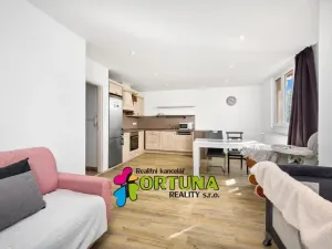 Prodej bytu 3+kk, České Budějovice - České Budějovice 7, Mánesova, 58 m2