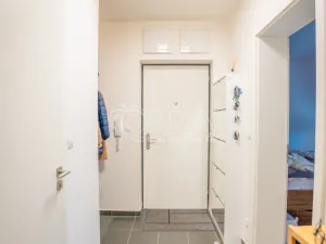 Prodej bytu 2+kk, Praha - Žižkov, Olgy Havlové, 53 m2