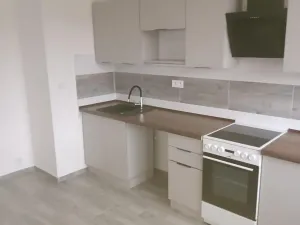 Pronájem bytu 3+1, Most, K. H. Borovského, 43 m2