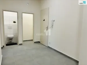 Pronájem bytu 3+kk, Praha - Žižkov, Biskupcova, 75 m2