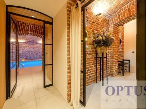 Pronájem bytu 6+kk a větší, Praha - Staré Město, Dušní, 218 m2