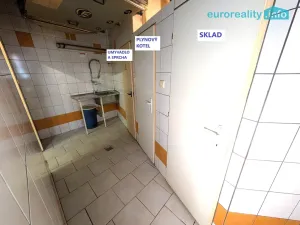 Prodej ubytování, Plzeň, Lindauerova, 800 m2