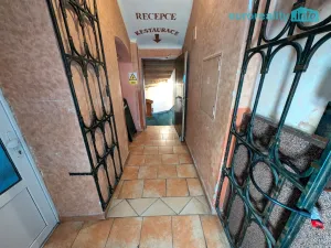 Prodej ubytování, Plzeň, Lindauerova, 700 m2