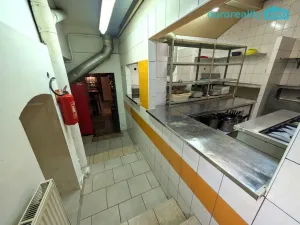 Prodej ubytování, Plzeň, Lindauerova, 700 m2