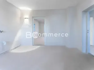 Prodej rodinného domu, Brandýs nad Labem-Stará Boleslav, Na baterii, 300 m2