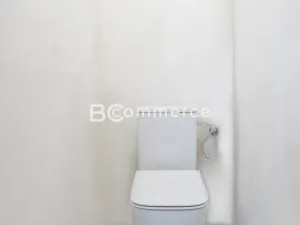 Prodej rodinného domu, Brandýs nad Labem-Stará Boleslav, Na baterii, 300 m2