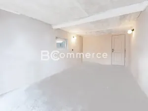 Prodej rodinného domu, Brandýs nad Labem-Stará Boleslav, Na baterii, 300 m2