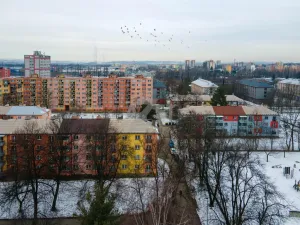 Prodej bytu 2+1, Ostrava - Zábřeh, Utvenkova, 53 m2