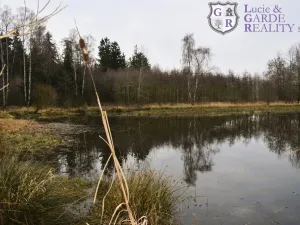 Prodej rybníku, Křivsoudov, 26509 m2