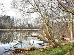 Prodej rybníku, Křivsoudov, 26509 m2