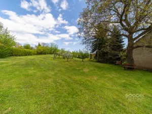 Pronájem rodinného domu, Dobrovice - Úherce, 180 m2