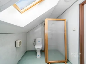 Pronájem chalupy, Dobrovice - Úherce, 180 m2