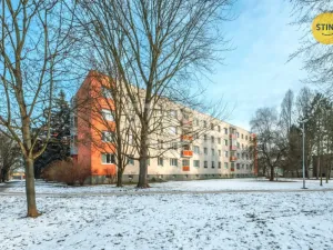 Prodej bytu 1+1, Pardubice, Družstevní, 36 m2