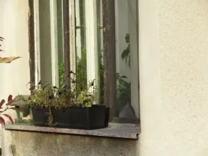 Dražba rodinného domu, Černuc, 207 m2