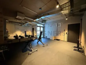 Pronájem bytu 1+kk, Brno, Bratislavská, 35 m2