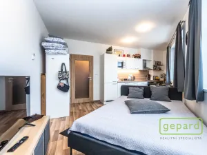 Pronájem bytu 1+kk, Praha, Ke kříži, 26 m2