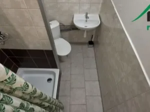 Pronájem bytu 1+kk, Tachov, Bělojarská, 25 m2