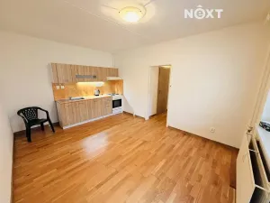 Pronájem bytu 2+kk, České Budějovice, J. Bendy, 41 m2