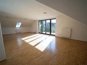 Prodej bytu 5+kk, Roztoky, Borkovského, 205 m2