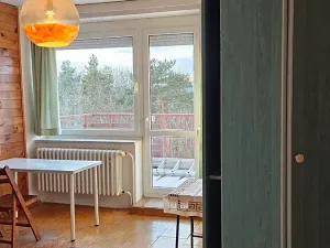 Pronájem pokoje, Praha - Dejvice, Starého, 15 m2