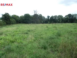 Prodej pozemku pro bydlení, Polom, 1399 m2