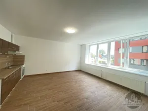 Pronájem bytu 1+kk, Praha - Vysočany, Na Harfě, 36 m2