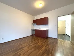 Pronájem bytu 1+kk, Plzeň - Jižní Předměstí, Technická, 27 m2