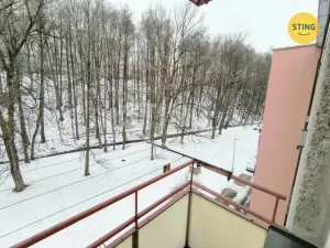 Prodej bytu 2+1, Třinec, Palackého, 48 m2