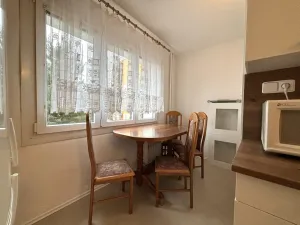 Pronájem bytu 2+1, Plzeň - Doubravka, Na Dlouhých, 53 m2