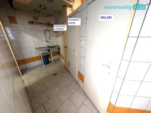 Pronájem kanceláře, Plzeň, Lindauerova, 192 m2