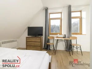 Prodej bytu 1+kk, Horní Lhota, 19 m2