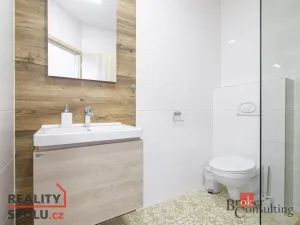 Prodej bytu 1+kk, Horní Lhota, 19 m2