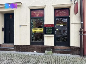 Pronájem obchodního prostoru, Karviná, Zámecká, 32 m2