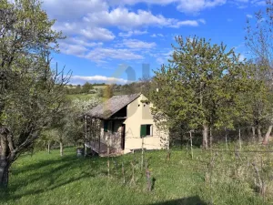 Prodej sadu/vinice, Strážnice, Veselská, 2284 m2