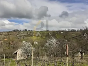 Prodej sadu/vinice, Strážnice, Veselská, 2284 m2