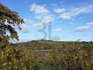 Prodej sadu/vinice, Strážnice, Veselská, 2284 m2