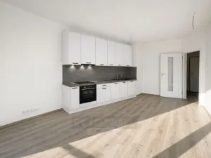 Pronájem bytu 1+kk, České Budějovice, Na Zlaté stoce, 28 m2