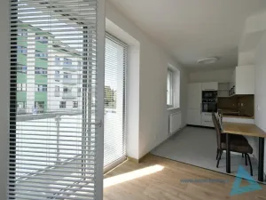 Pronájem bytu 1+kk, Nová Paka, P. Bezruče, 47 m2