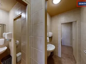 Prodej rodinného domu, Bučovice, Slovenská, 900 m2