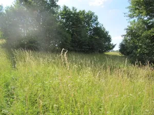 Prodej pole, Březůvky, 9747 m2