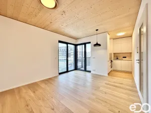 Pronájem bytu 3+kk, Praha, Ujgurská, 57 m2