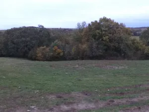 Dražba louky, Kelníky, 1707 m2