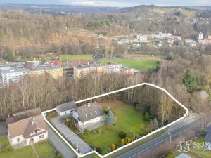 Prodej rodinného domu, Loket, Sokolovská, 335 m2