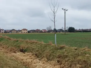 Prodej pole, Podluhy, 25484 m2