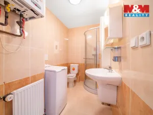 Pronájem bytu 1+1, Praskolesy, 30 m2